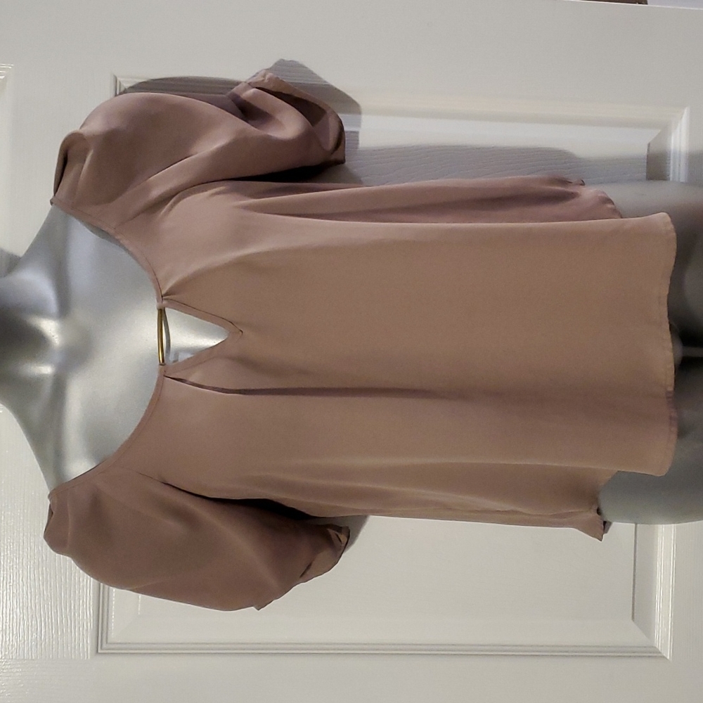 Blue Lemon Taupe Blouse Rouched Sleeves Bar Chest Accent M